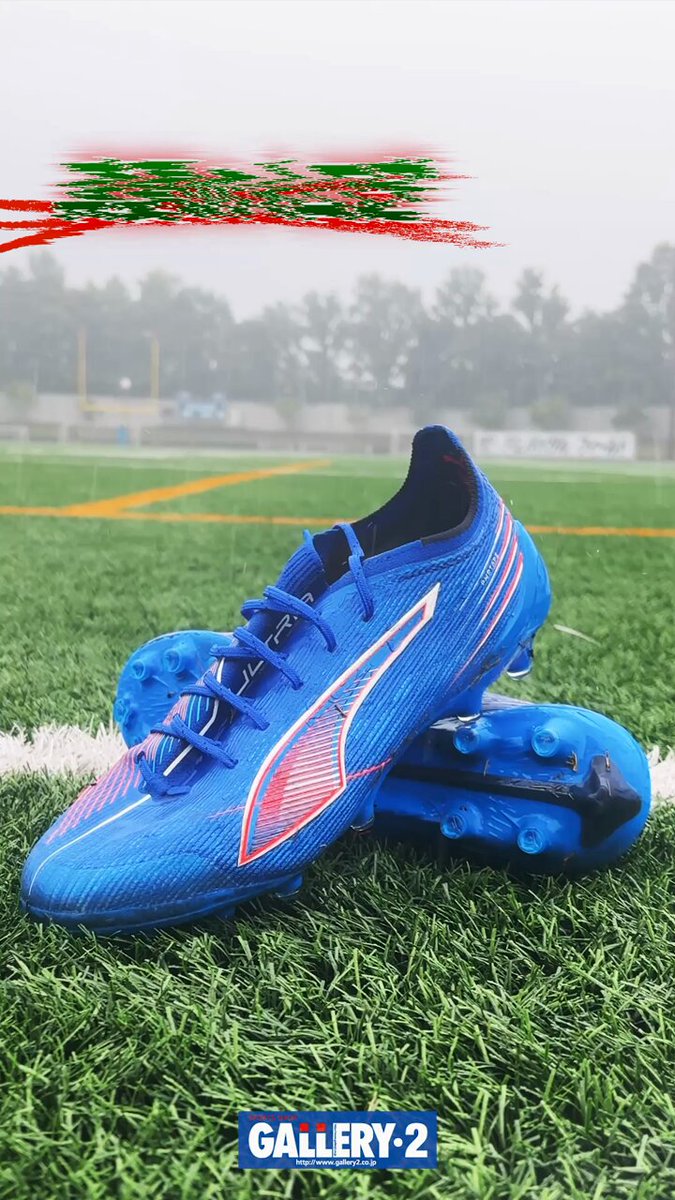 Gallery Sport ネイビー ジャケット M 4903a43378f483a1c2eb833244765f