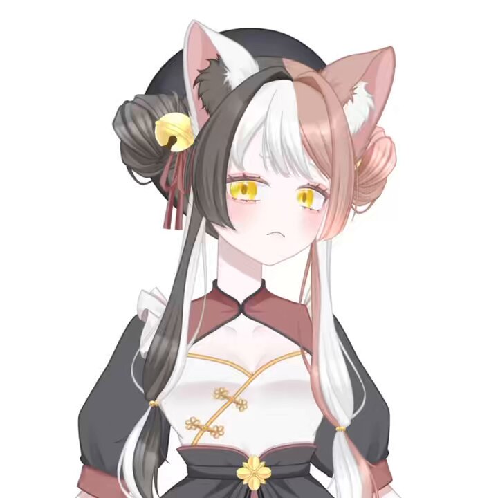ねこちゃん様❤専用 無。