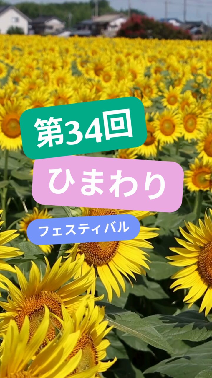 ドリフェスひまわり もも on X: 