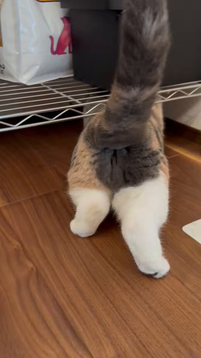 うなちゃん　 アルファ スタミナうなちゃんミニ（3ケ入） PH8-0417 1セット