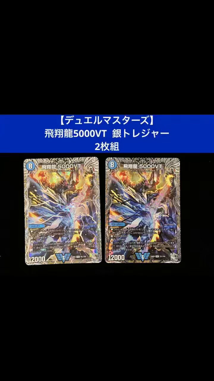 5000VT 銀トレジャー 新素材新作 銀トレジャー】飛翔龍 5000VT[DM_24RP4_TR1/TR9_VIC