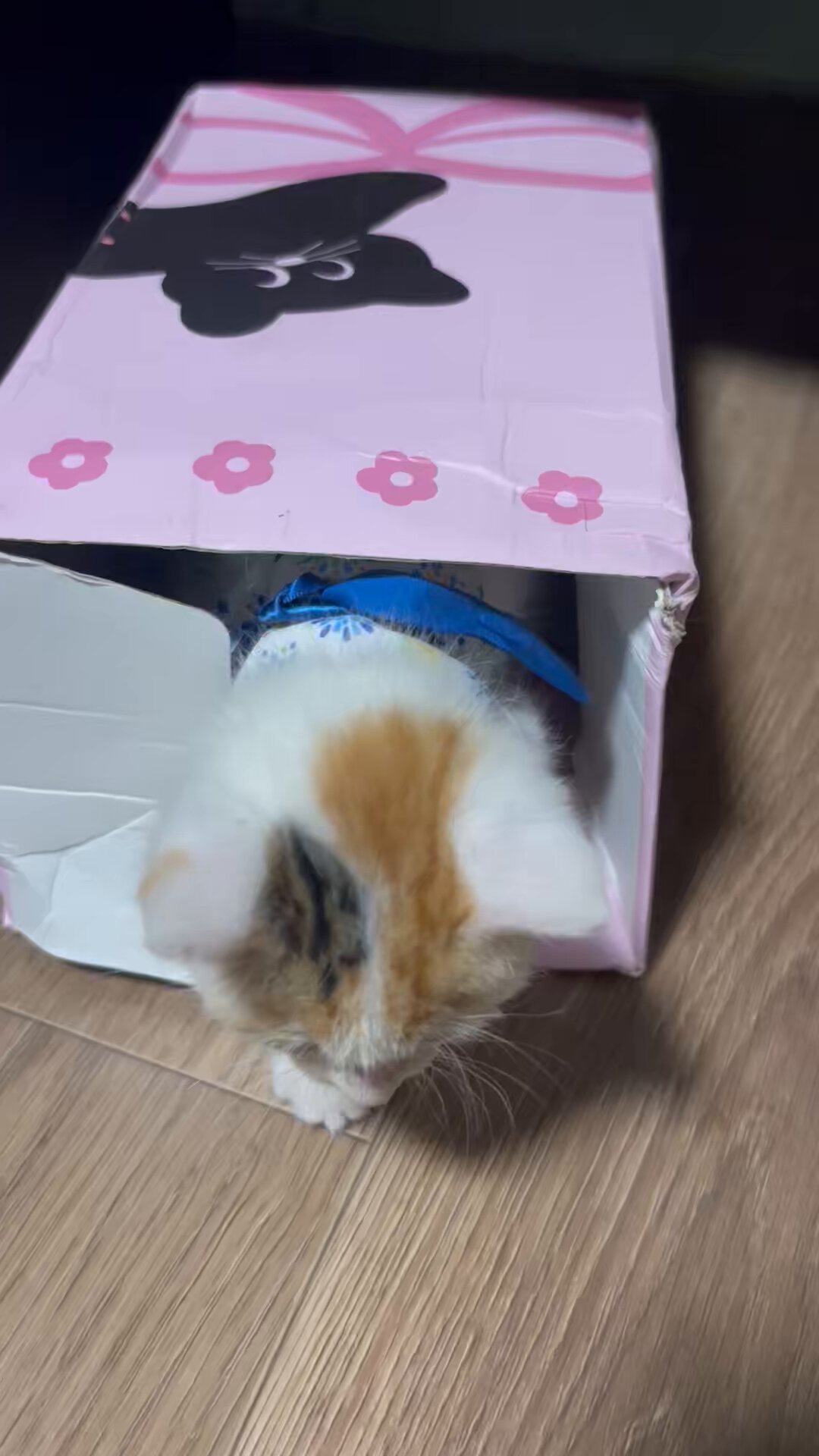ほのぼのねこさん専用 ぽめ on X: 