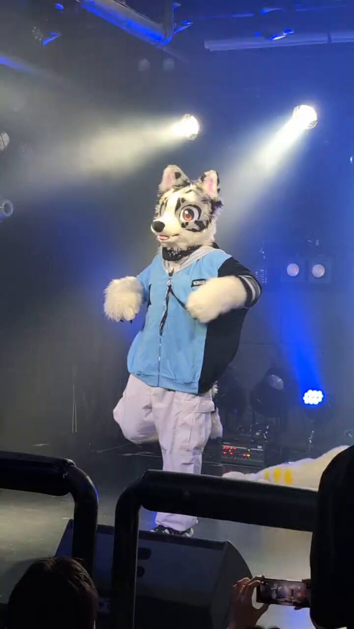 犬伏 犬伏けんた🐾 on X: 