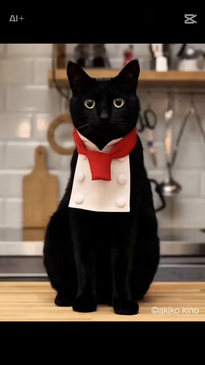 ねこ⭐︎　チョコケーキの台座 ねこ⭐︎様専用 チョコケーキの台座