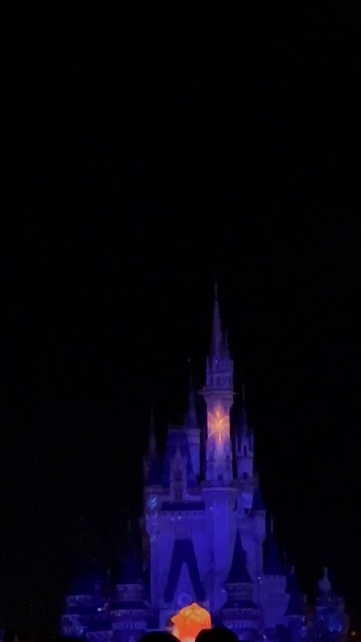 ディズニー大好き みんなはディズニー好き？