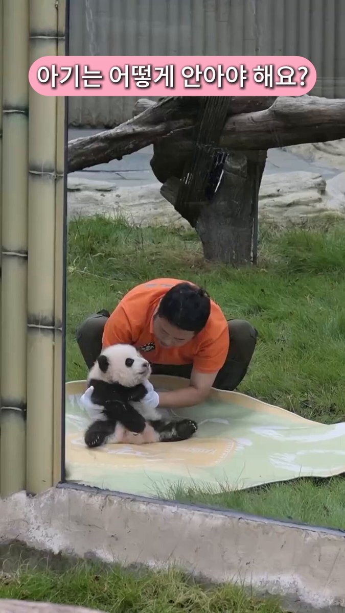 🇵🇭🧸🐼 ℡™ミスターパンダブーム玄笑顏无双凰战斗力仙