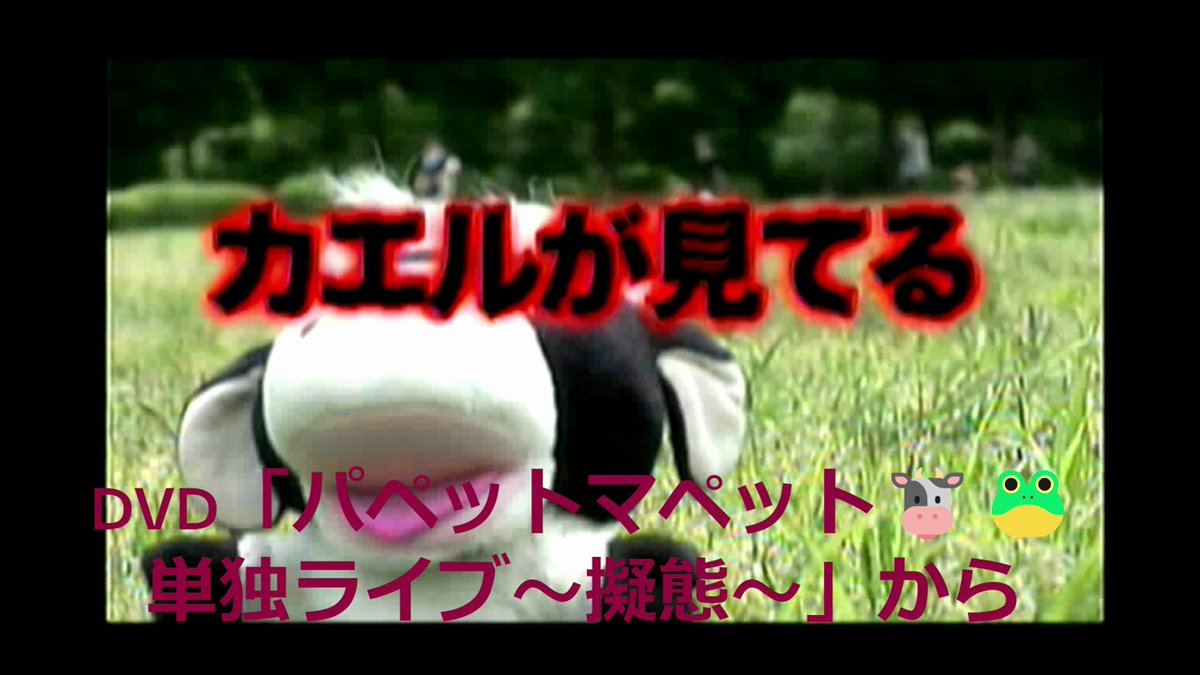 ポンキッキ・おかあさんといっしょ・うたのえほん・テレビまんが