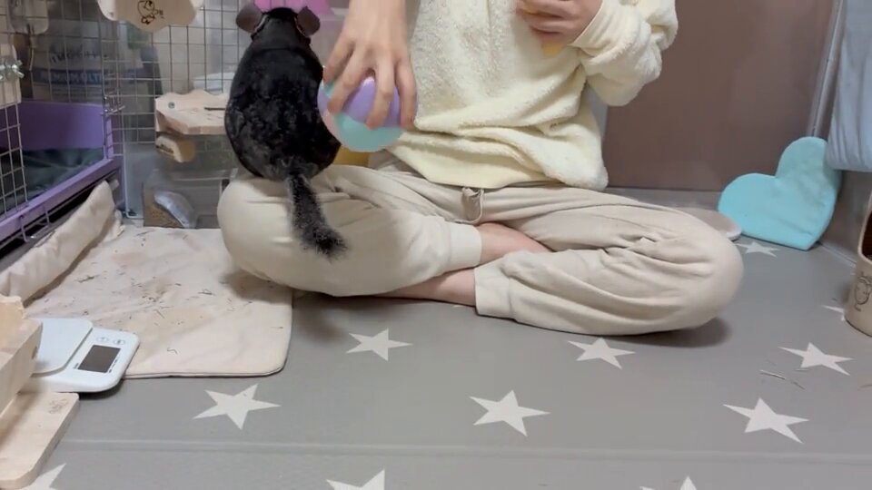 桃ページ ピンクと水色の組み合わせ 大好き☺️💓 桃の花もきれいだったな