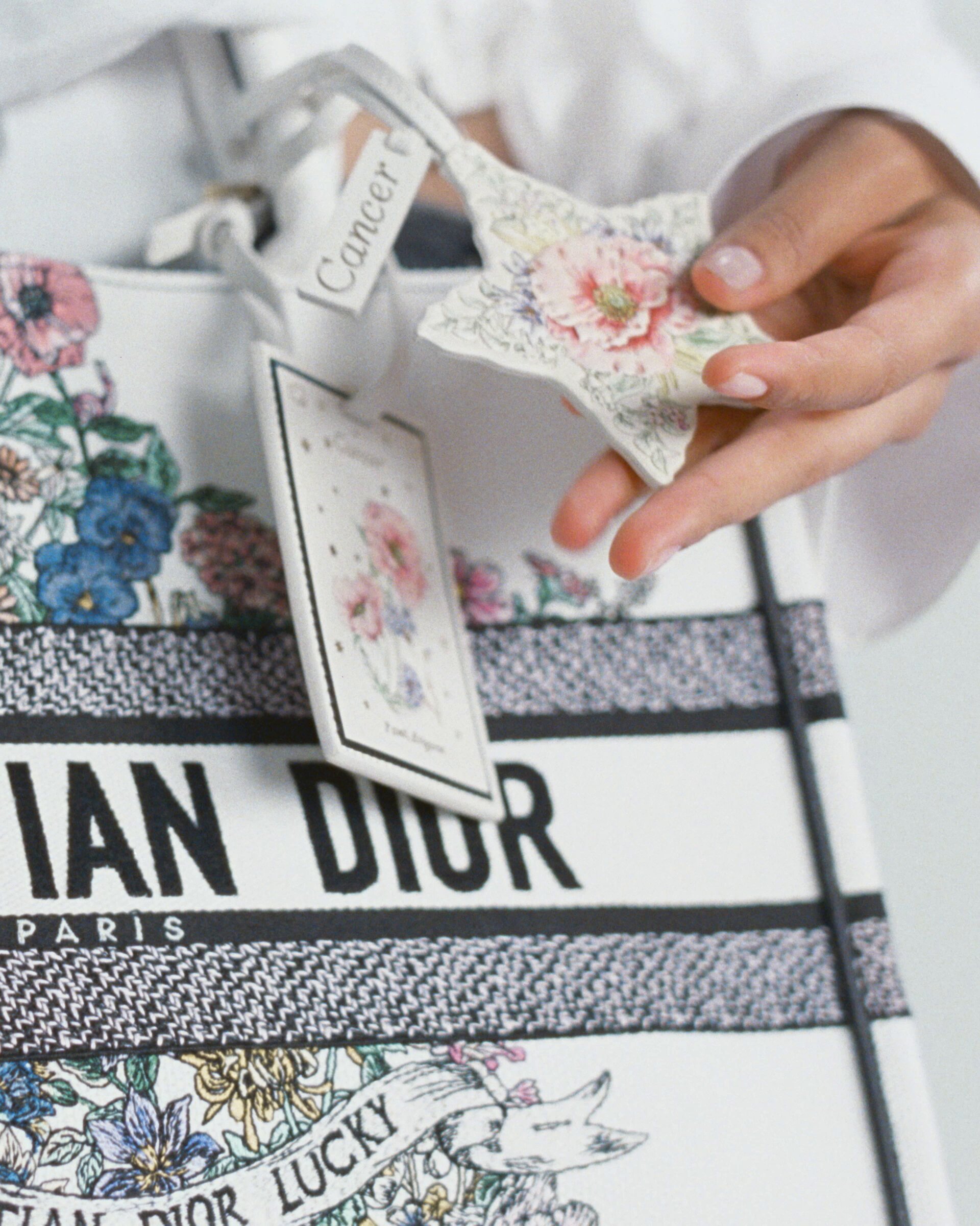 Christian Dior - ディオール/クリスチャンディオール XS - 楽天市場】【中古】Christian Dior SAMPLE プリントTシャツ