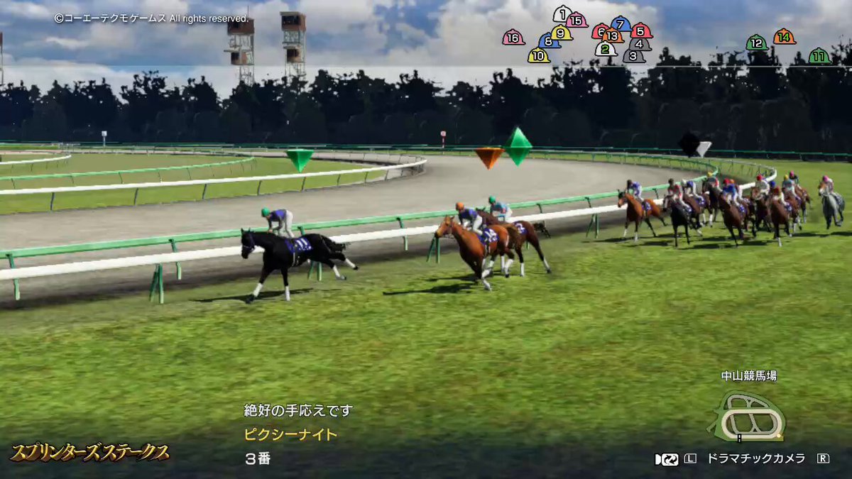 中山競馬場　ドウデュース　コントレイル　ファイル 中山競馬場 ドウデュース コントレイル ファイル 限定製作