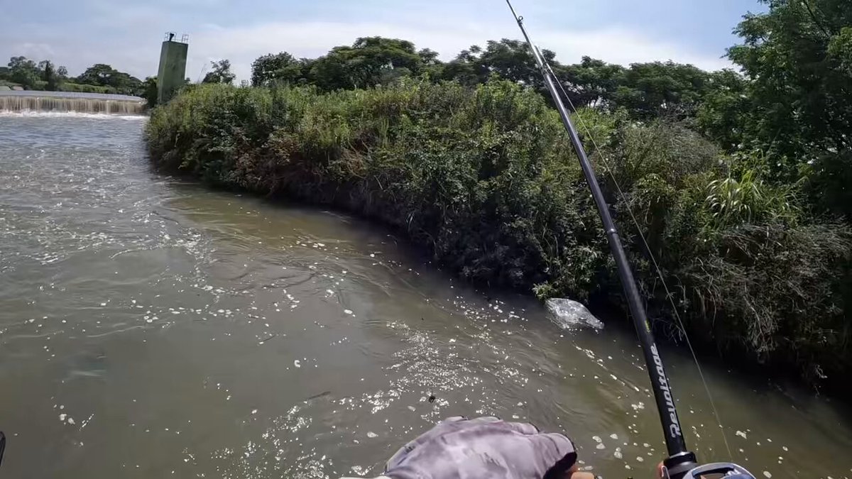 JACKALL - Yさん JACKALL BASS FISHING (@JACKALL_Inc) / X