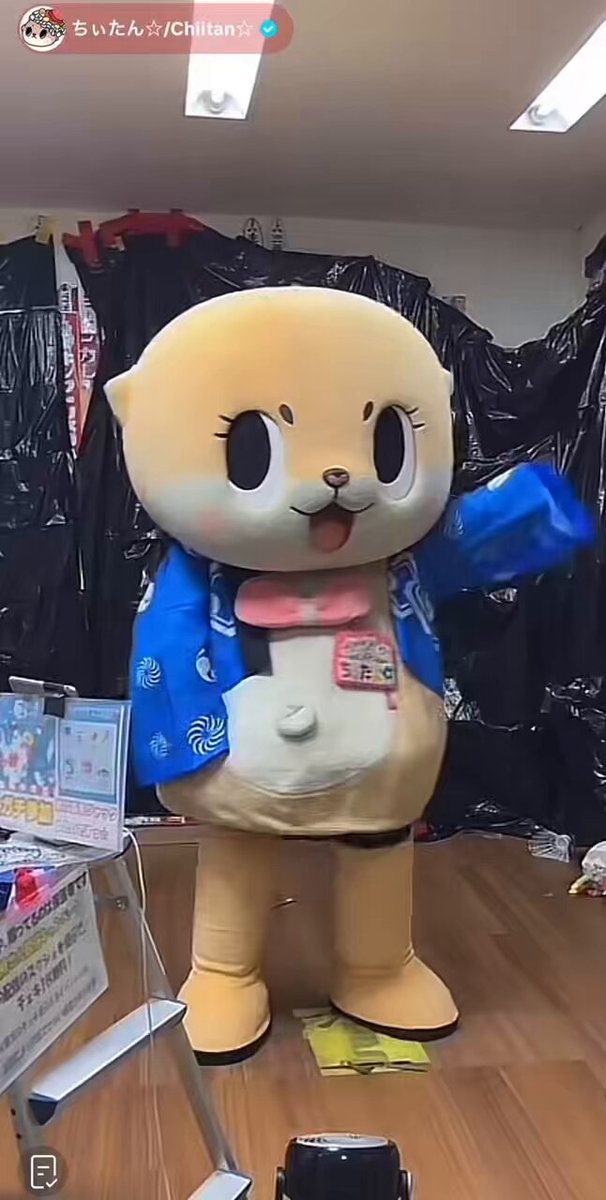 プロフ必見‼︎ちーたん☆★様 ちぃたん☆／Chiitan (@chiitan7407) / X