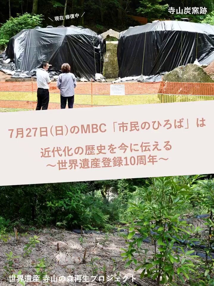 市民社会論 : 歴史的遺産と新展開 市民社会論: 歴史的遺産と新展開 (立命館大学叢書・政策科学 4