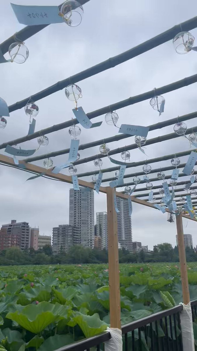 梅雨空のお出迎えオリエ　OS01/R01-P20EX PR PR+ 梅雨空のお出迎え オリエ(サイン入り) 販売 | ゆずソフト