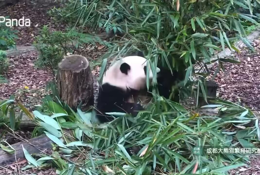 あちな* on X: 