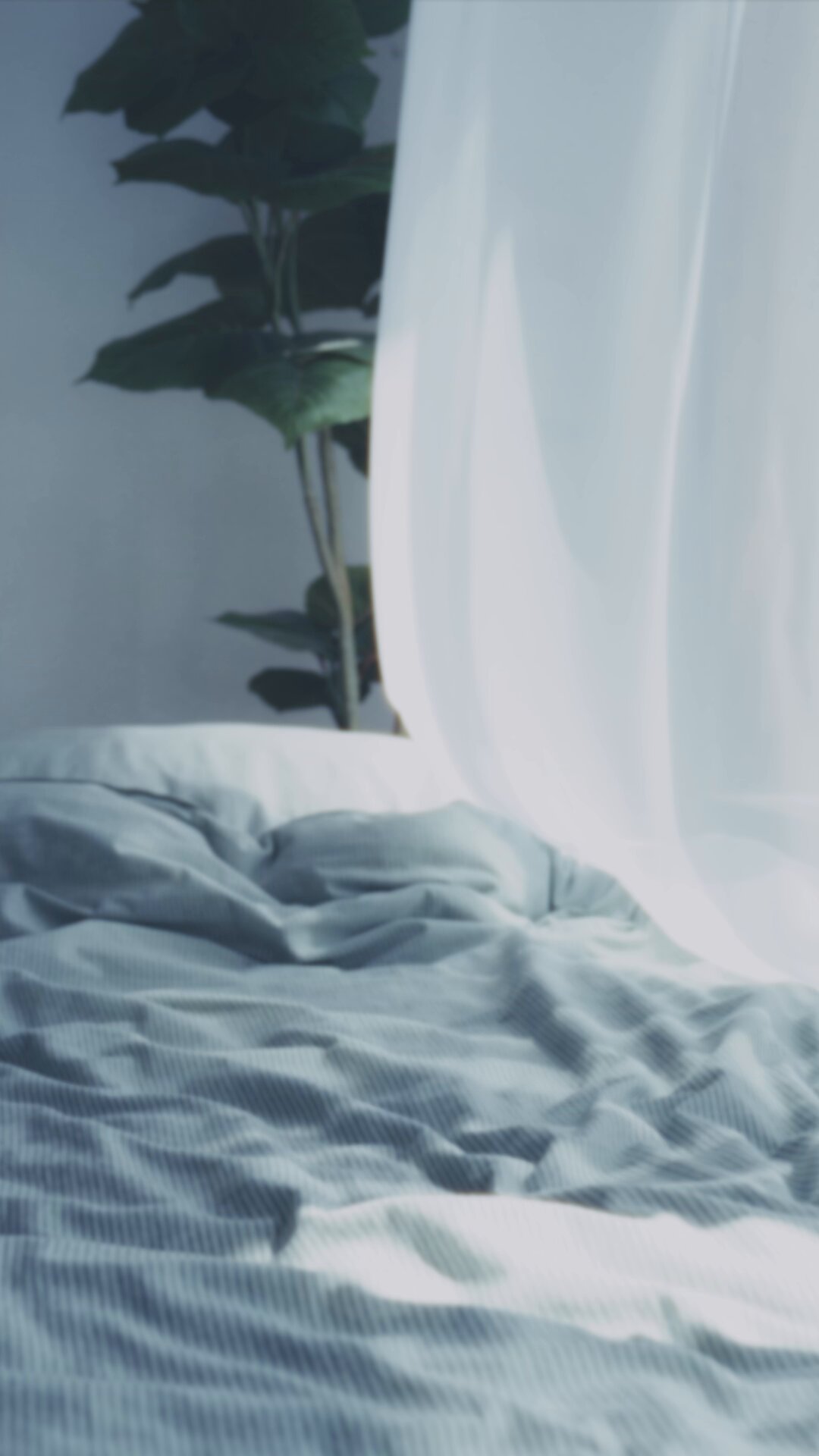 𝗰𝗼𝗳𝗳𝗲𝗲 (@ILLITchan) / X