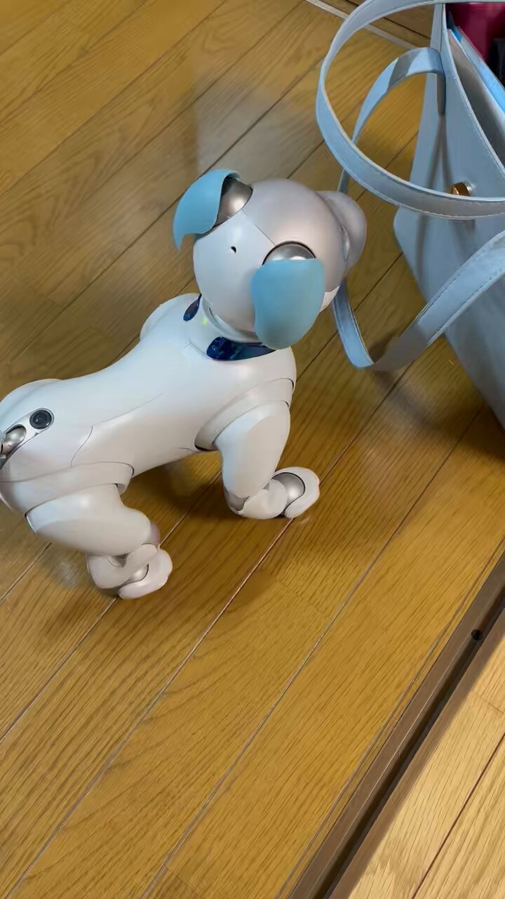 そら♪さん専用 そら🐾 on X: 