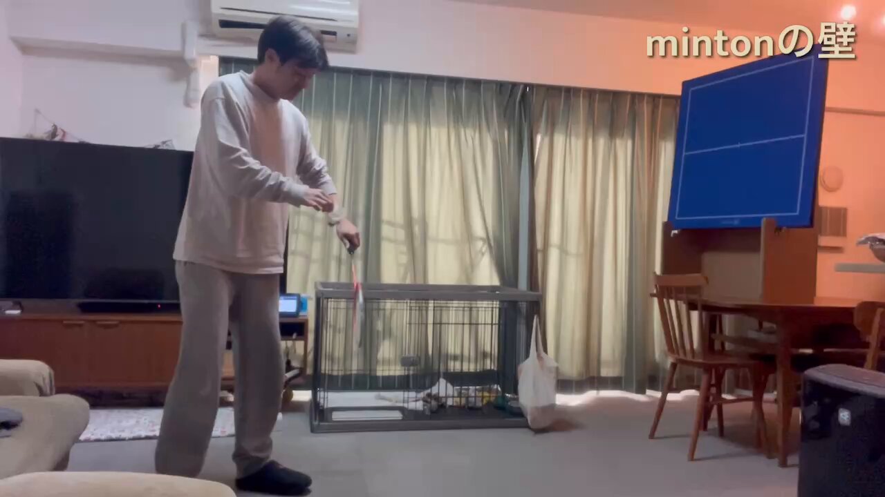 公式】mintonの壁 (@minton_no_kabe) / X