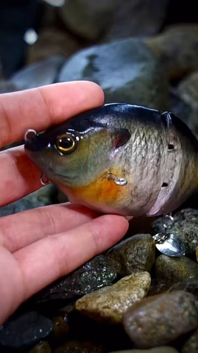 フレッシュベイトルアーズ｜Fresh Bait Lures (@FreshBaitLures) / X