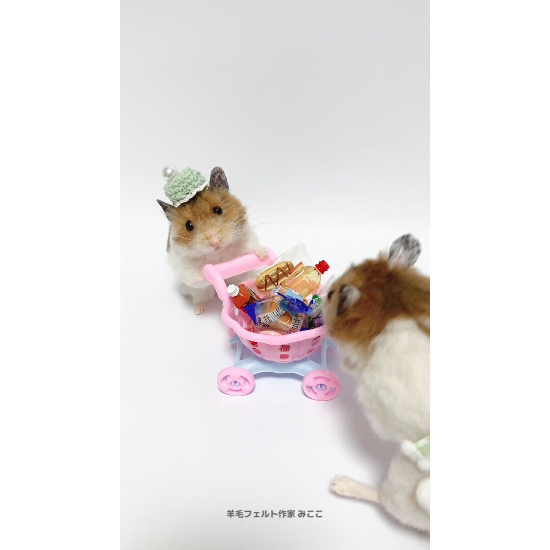 ちょこぴー ハムスター 羊毛フェルト ハンドメイド 【世界に一つだけのうちの子ミニチュア】 羊毛