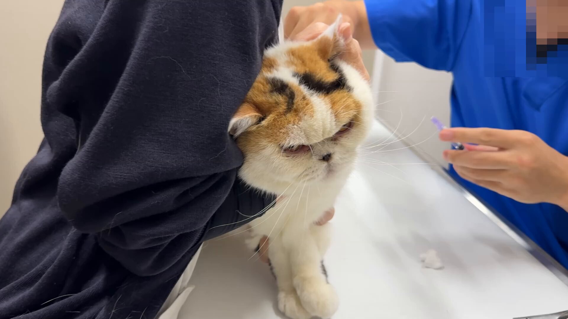 猫さん 404385-01 emmi Puma Speedcat OG Nuance Gray (Men's) | eBay