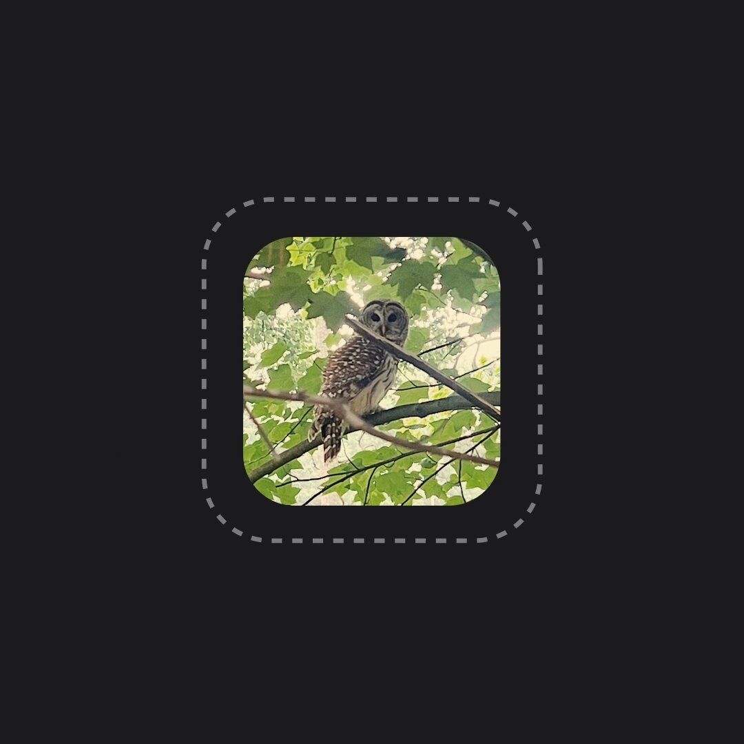 Tweet media three