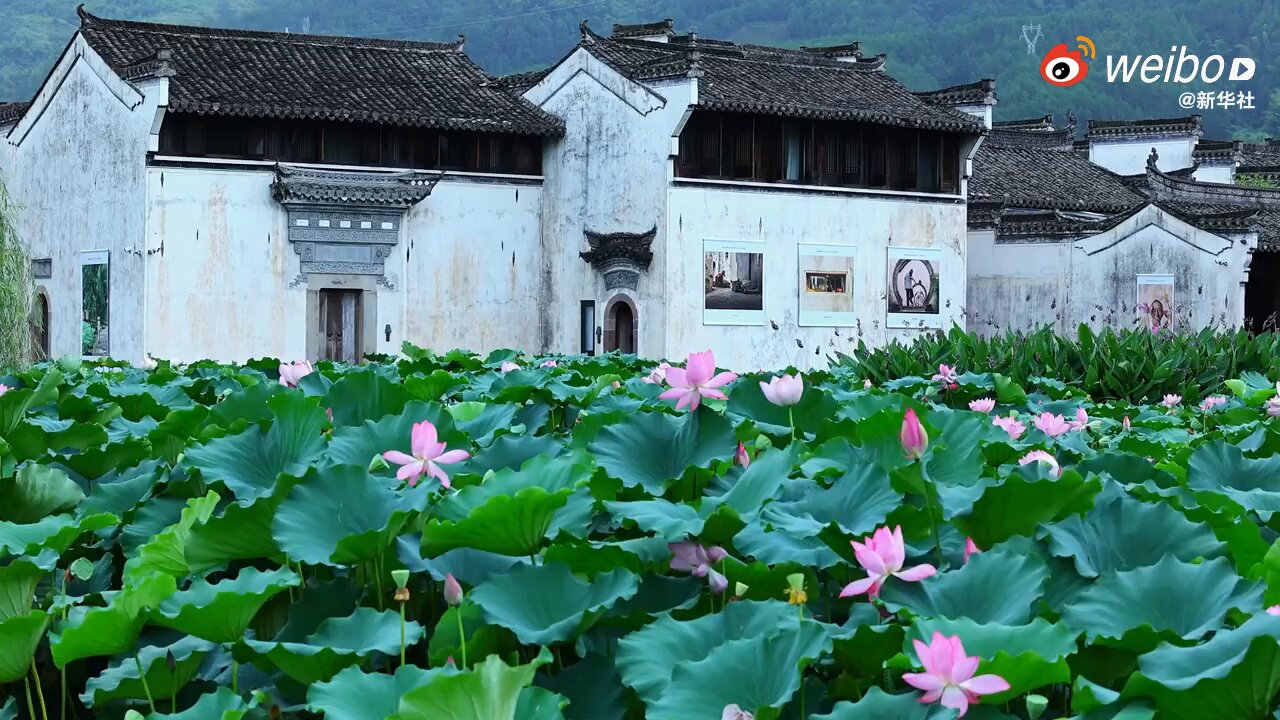 王一博 応援手幅 113枚 2023.11.19王一博肖战｜SpecialなDAY | 【Yizhan】战哥、弟弟爱你