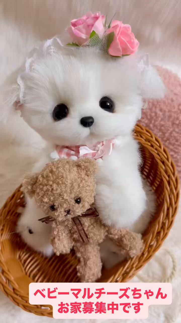 milk♡cocoa (@milkcoc13741072) / X