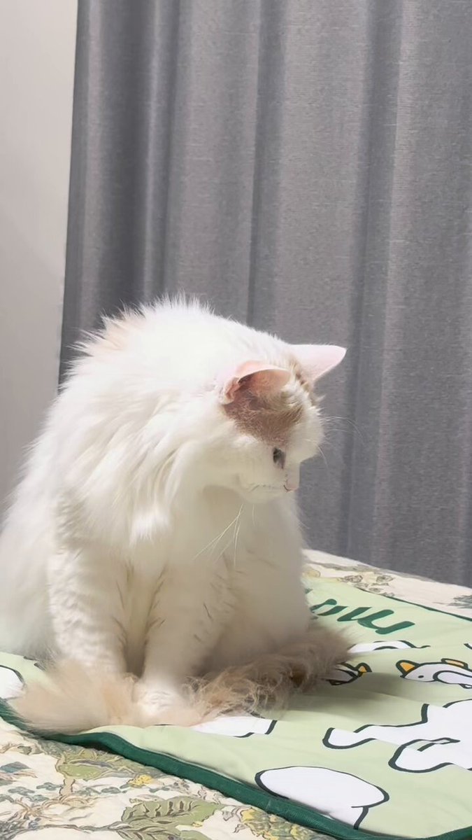 くうちゃん くーちゃんパパ😎 (@king.taka.4107) • Instagram photos and videos