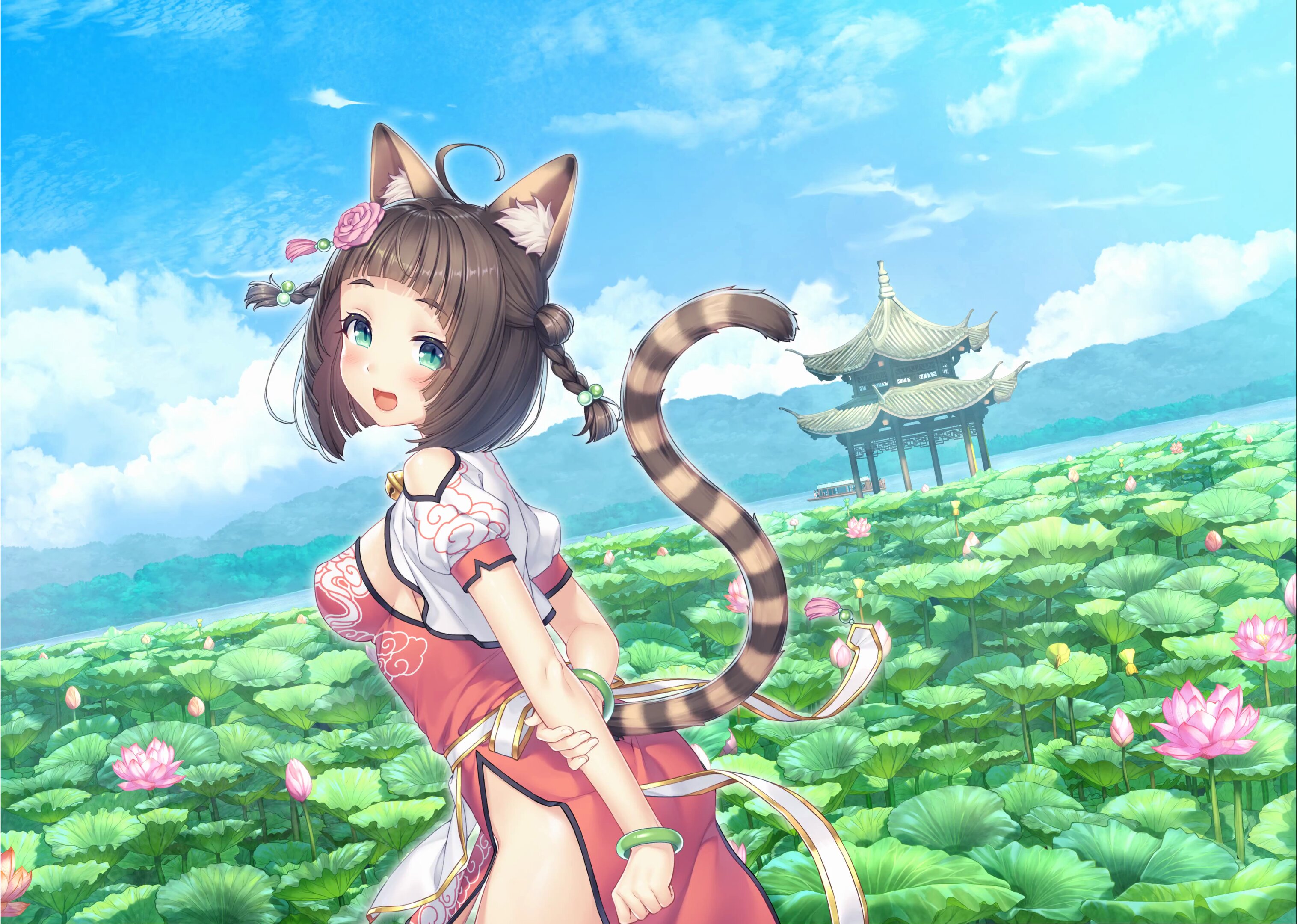 ネコぱら セカイコネクト公式 on X: 