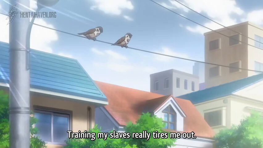 Video by @DoujinLewd