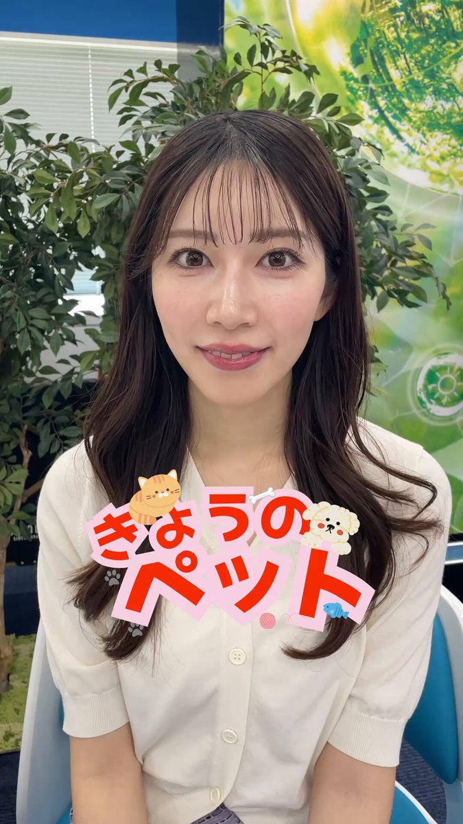 ⭐︎美品⭐︎ ウェザーニュースLIVE 2023 ファンミーティング お楽しみ袋 2025年最新】ウェザーニュース お楽しみ袋の人気アイテム - メルカリ