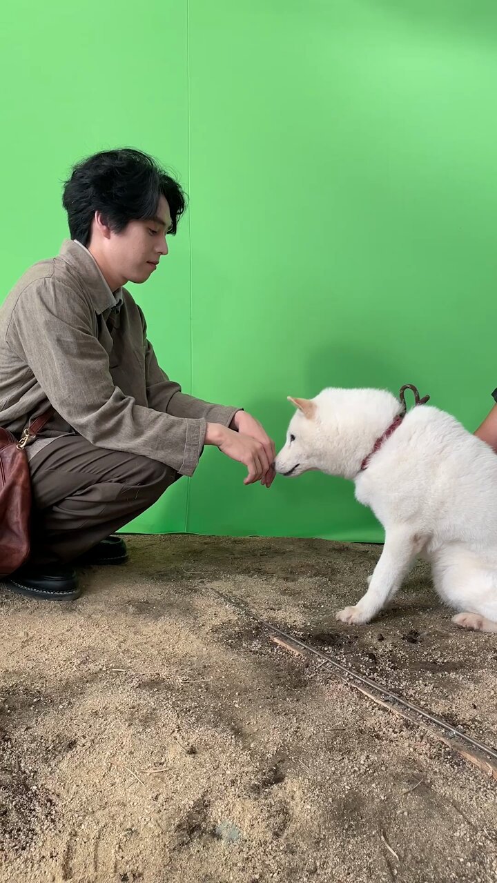 とろちゃんページ ソフトバンク ソフトバンク