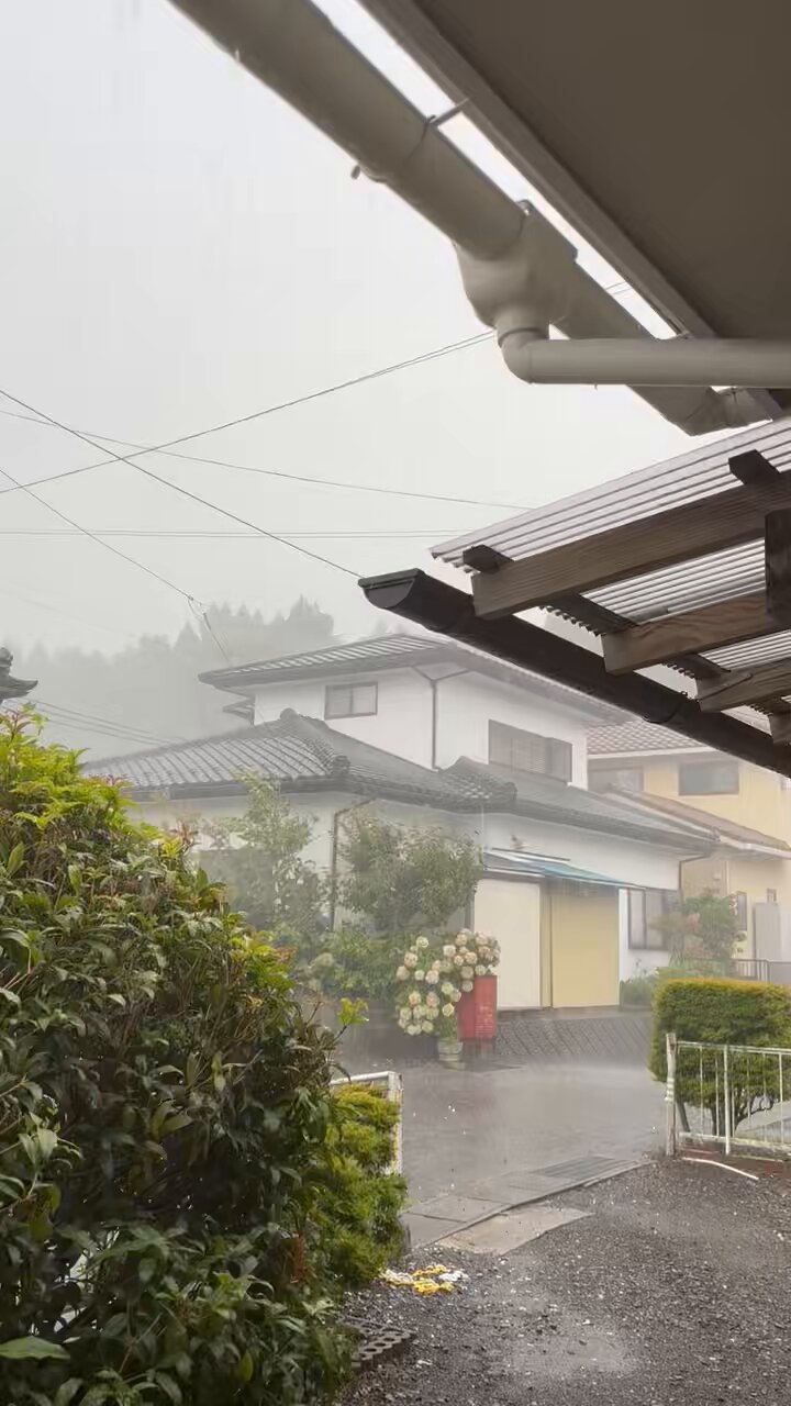 希少　気象　天然の雹　ひょう　千葉・茨城産　落ちたてホヤホヤ厳選採集 希少 気象 天然の雹 ひょう 千葉・茨城産 落ちたてホヤホヤ厳選