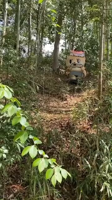 ★ちーたん★様 Highlights by ちぃたん☆／Chiitan (@chiitan7407) / X