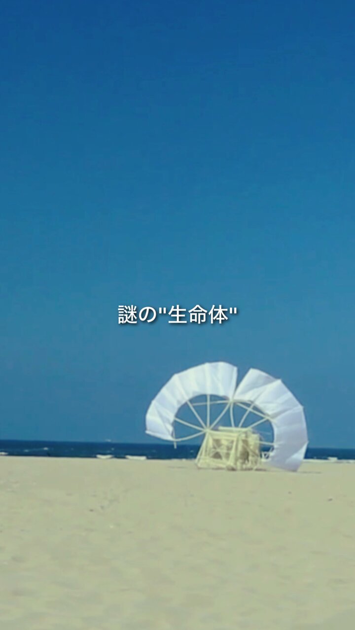 大人の科学マガジン 19 Amazon.co.jp: 大人の科学マガジン Vol.19 ガリレオの望遠鏡