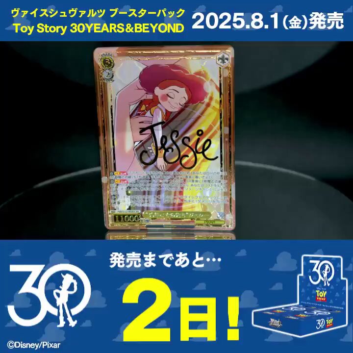 ヴァイスシュヴァルツ公式 on X: 