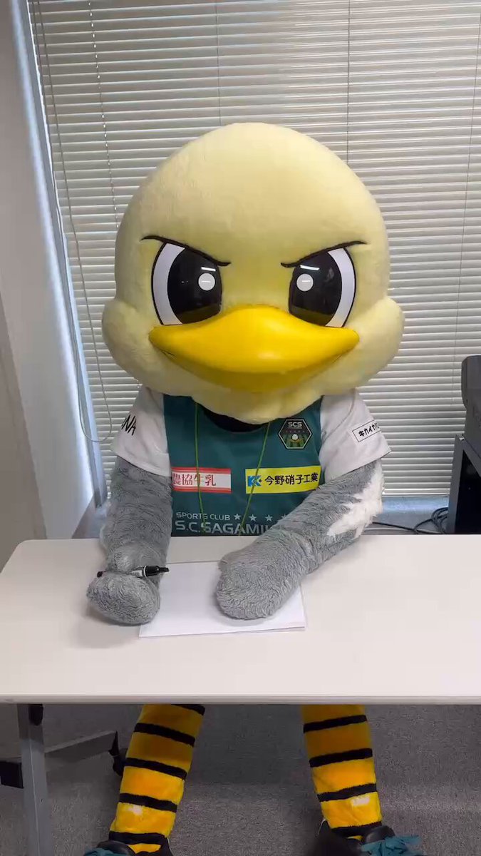 あんちゃん s-l400.jpg