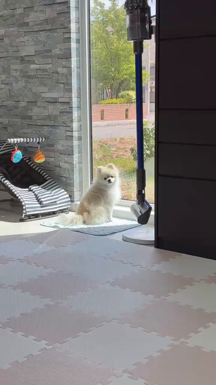 ゴン太様♡専用ページ♡ Beautiful Day