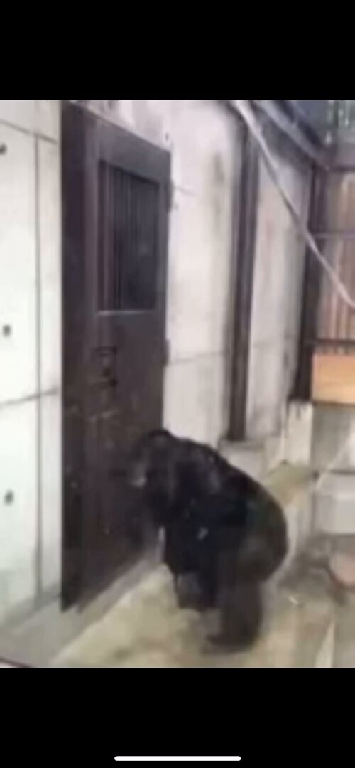 Syujet bilan jinsiy ayol video