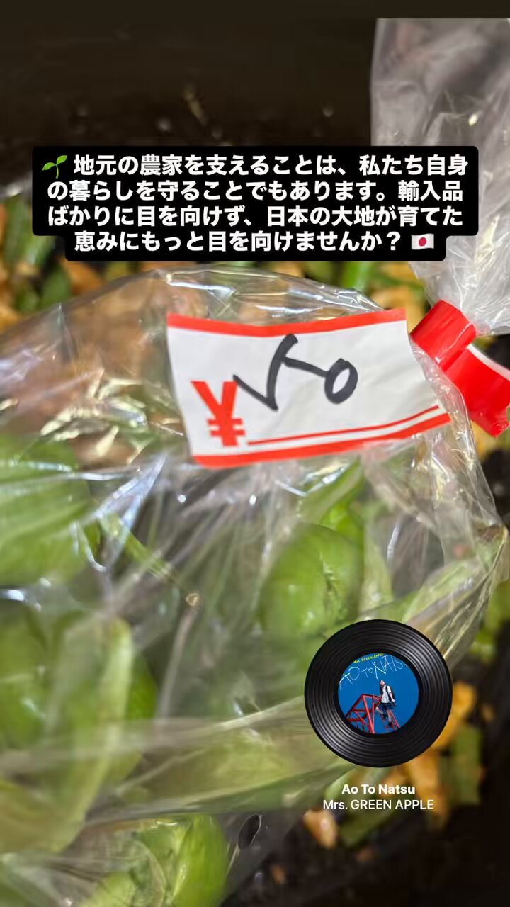 MyProtex Japan Protein (マイプロテックジャパンプロテイン