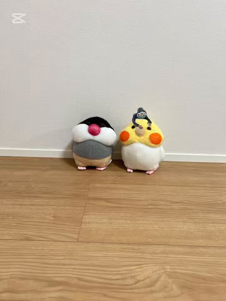てぷぷ様♡ありがとうございます♡ 文太 on X: 