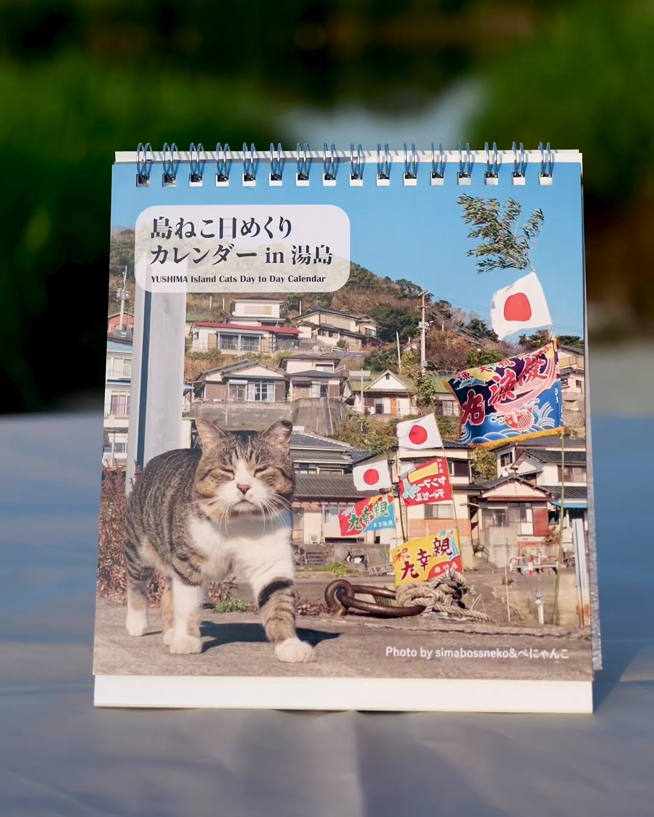 simabossneko 写真集「島にゃんこ」発売中 (@simabossneko) / X