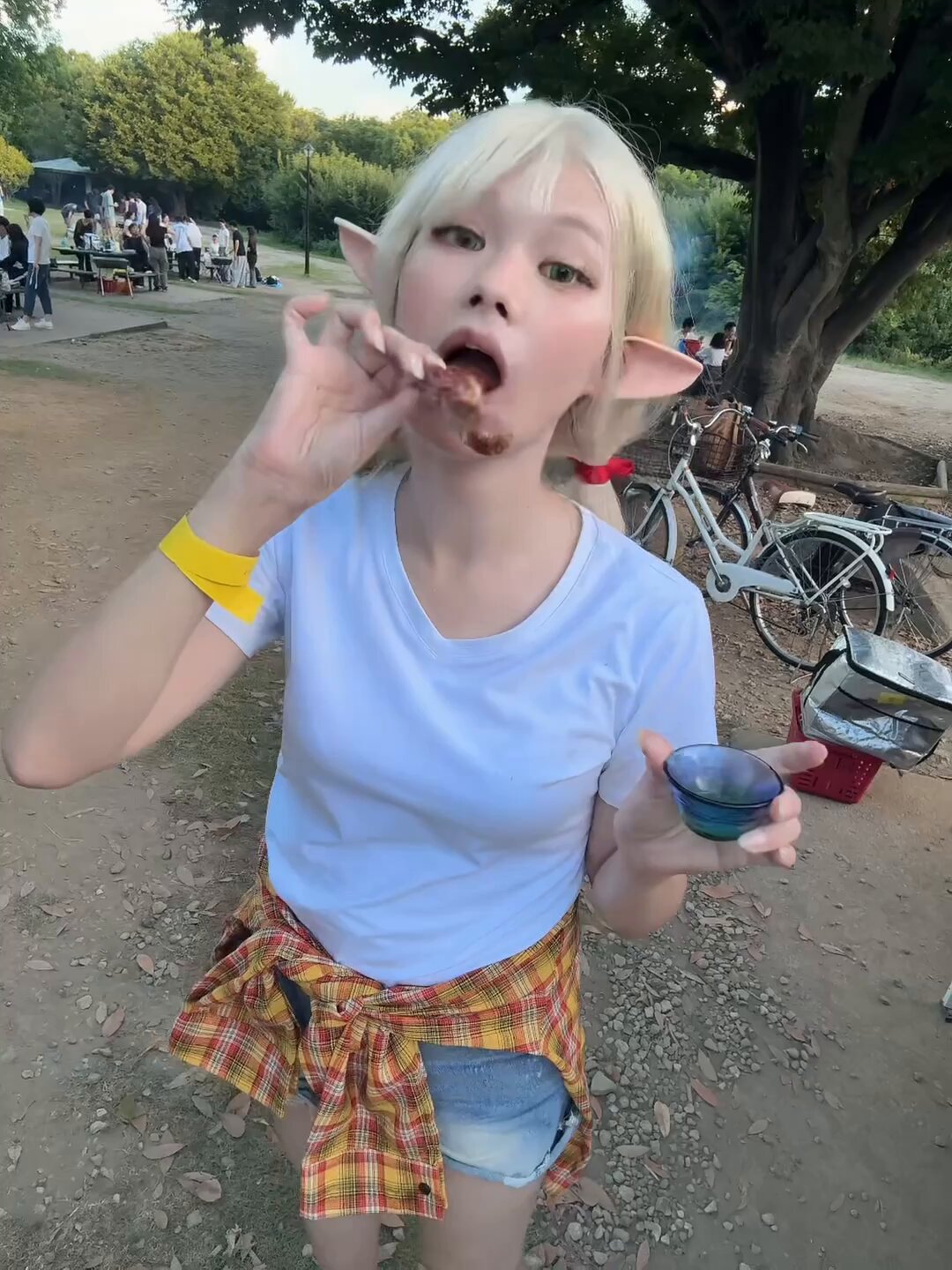 鹿　の　とうこ　つ ド迫力！ 駆ける鹿、追う勢子 鹿の角きり 鹿苑 奈良市 - YouTube