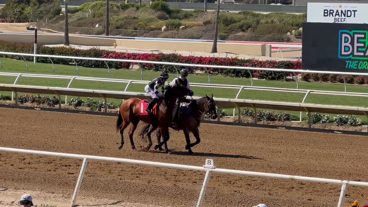 馬のトレーナーのひみつ 馬のトレーナーのひみつ - Search / X