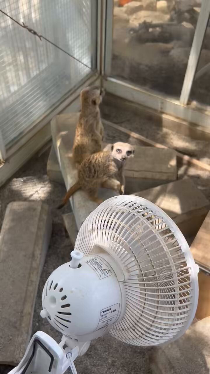 飯田市立動物園 【公式】 on X: 