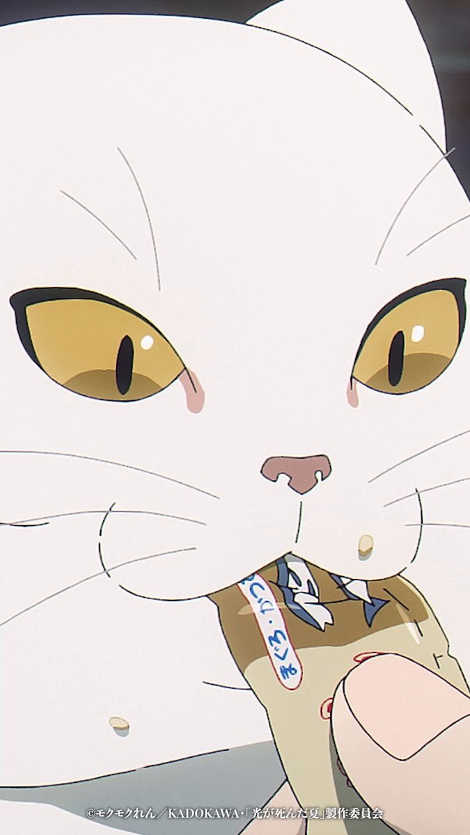 猫美(^-^)/ページ♡︎ 猫猫 - Search / X