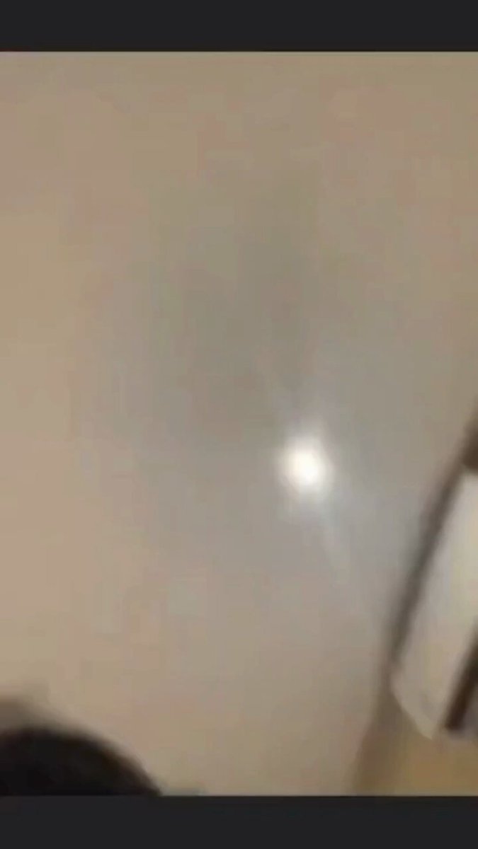 malu malu mau
