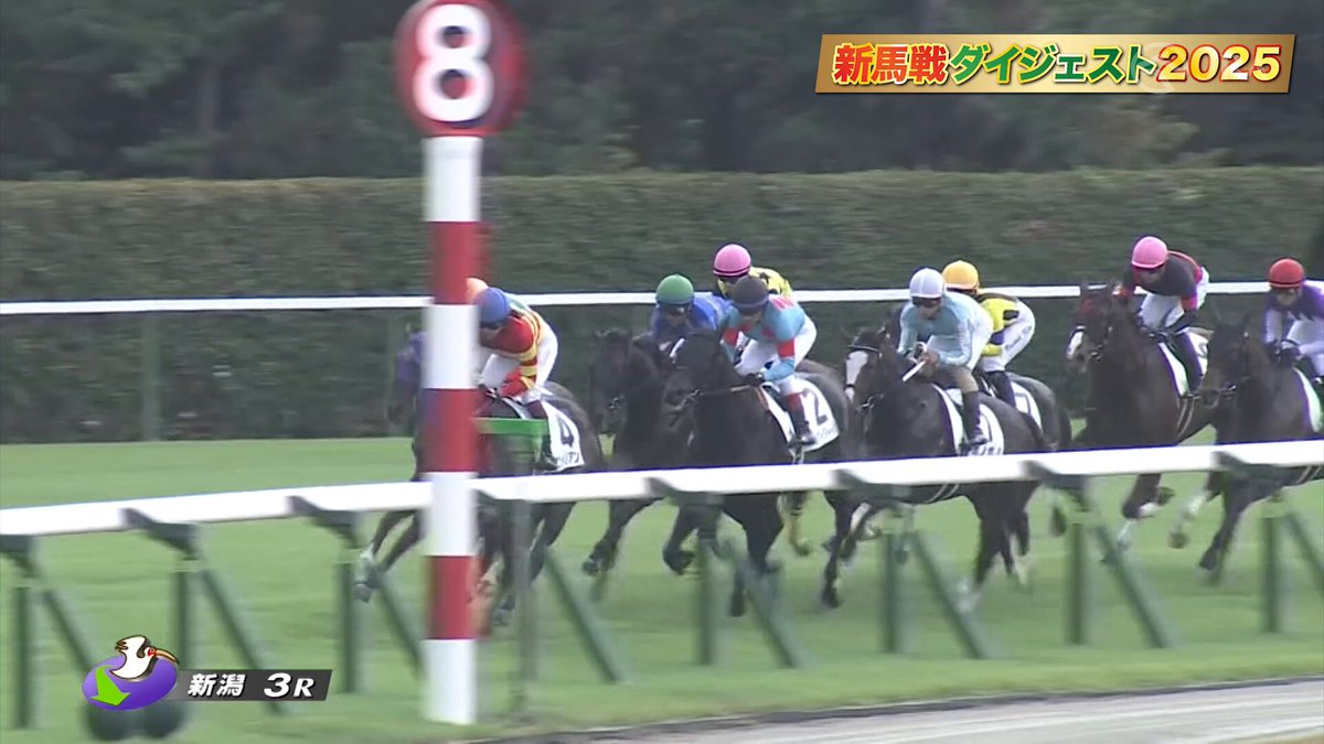JRA第2回ジョッキーマスターズ特別記念セット JRA70周年記念キャンペーン第3弾|JRA
