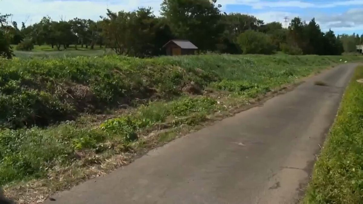 自転車を乗り捨て掘っ立て小屋に向かう女。 女が近づくと扉が開き男が中へ招き入れる。 中に入るなり二人は熱い抱擁と口づけを交わす…